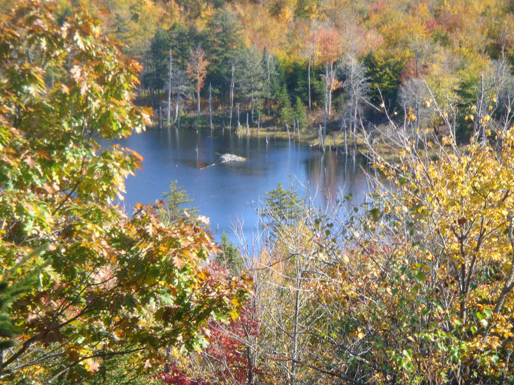 Quarry trail overlook by Alan Sherwood