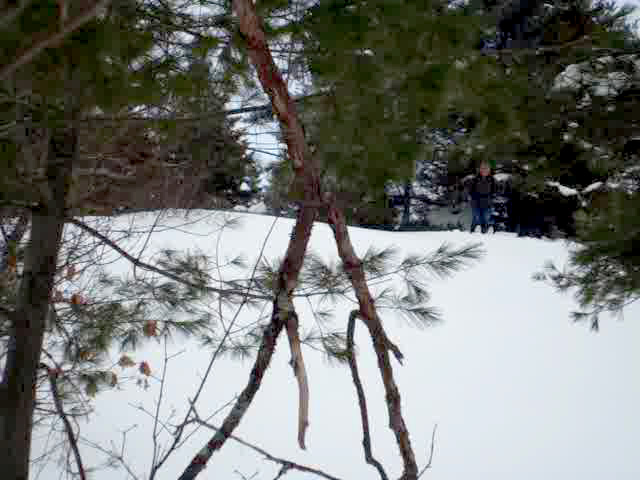 Backcountry Skiing on Mount Piper